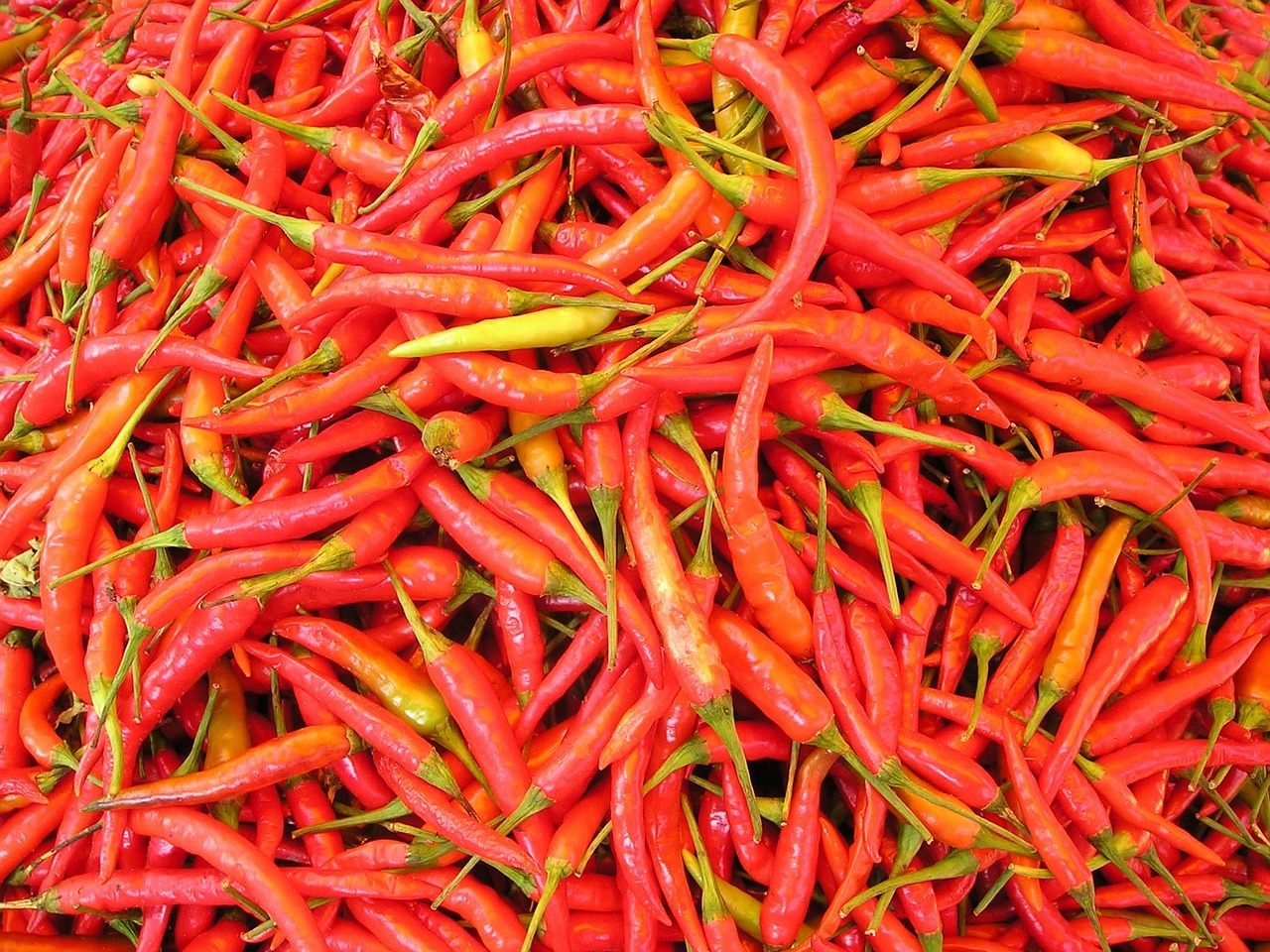 Thai Peppers