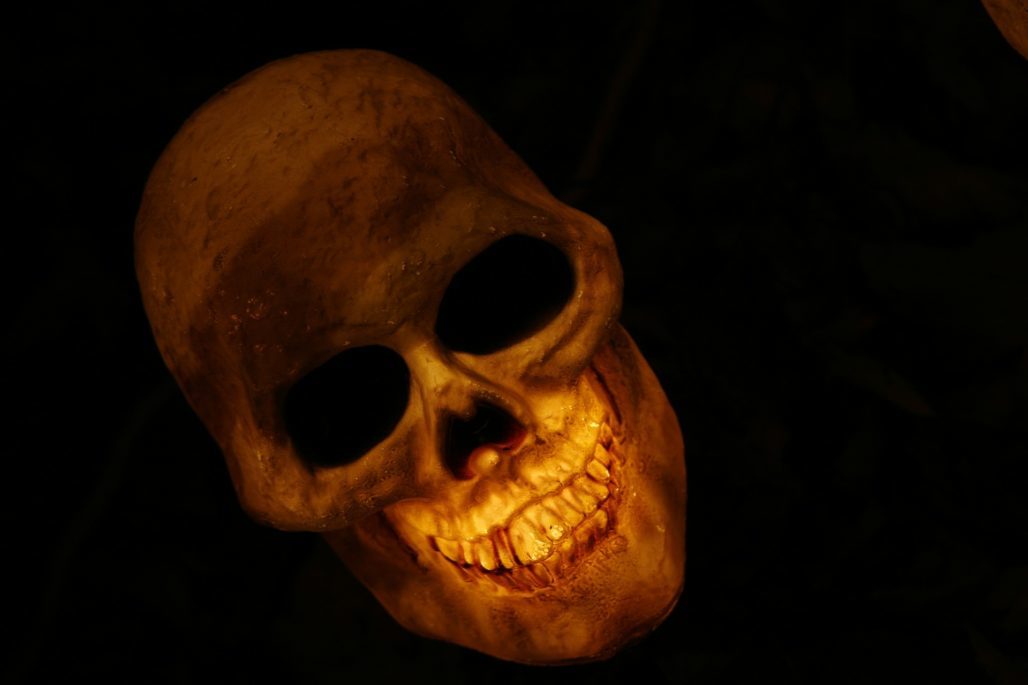 skull-570975_1920-1028x685-นาที