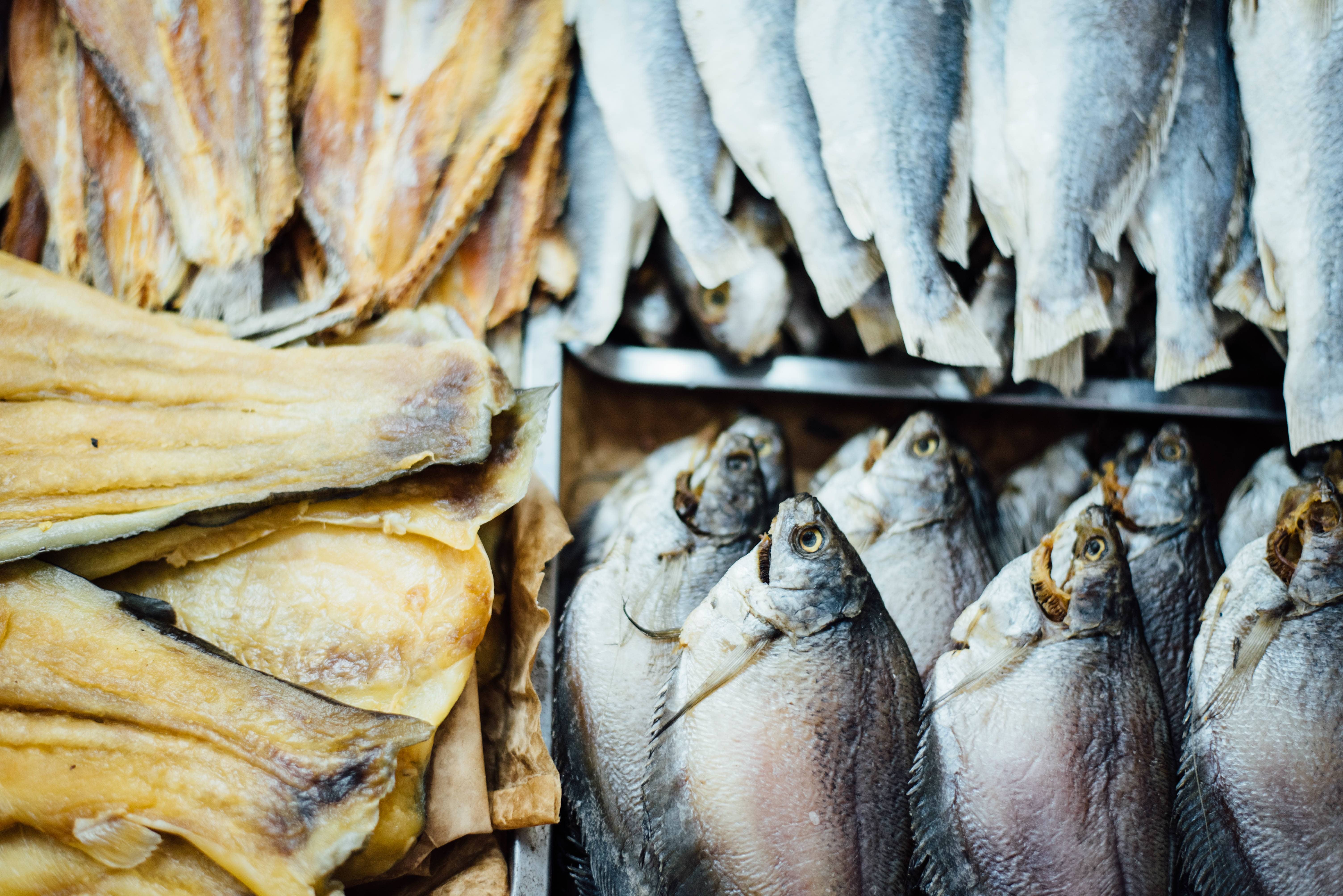 Metales pesados en el pescado