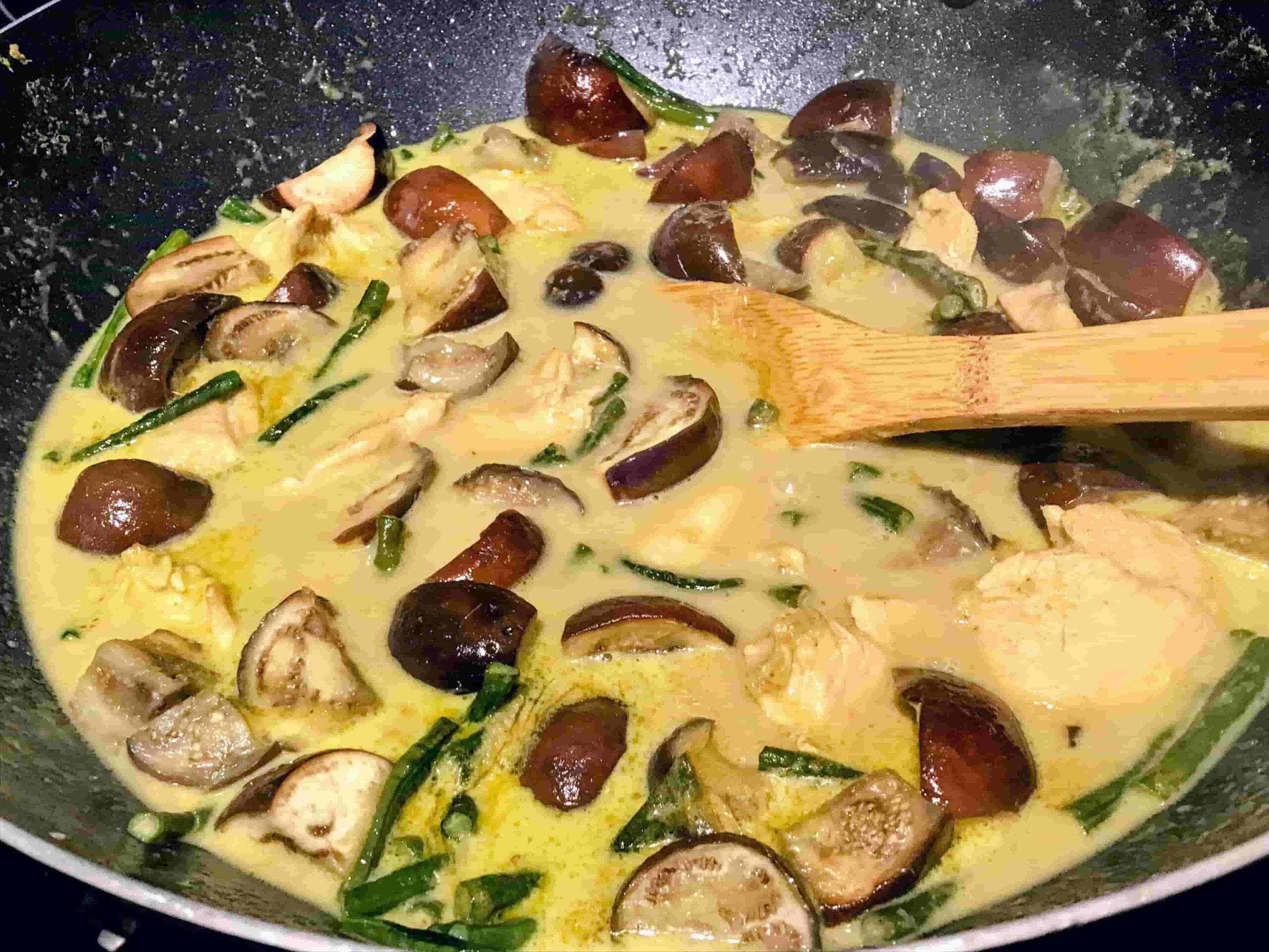 Thai-Green-Curry-Chicken-with-Indian-Eggplant-and-Long-Beans