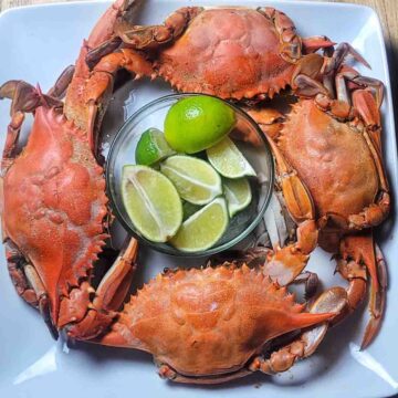 Easy, 4 Ingredient, Instant Pot Spicy Crab Recipe, Featured Image